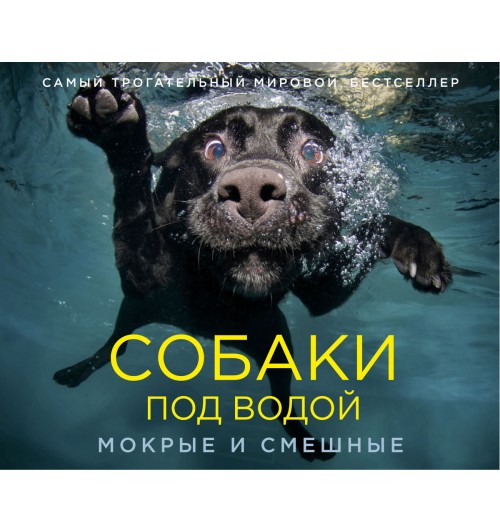 Кастил Сет: Собаки под водой. Мокрые и смешные (Подарочная книга)