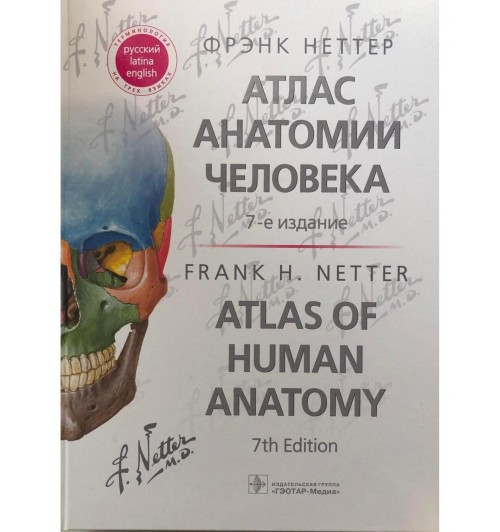 Атлас анатомии человека: терминология на русском, латинском и английском языках