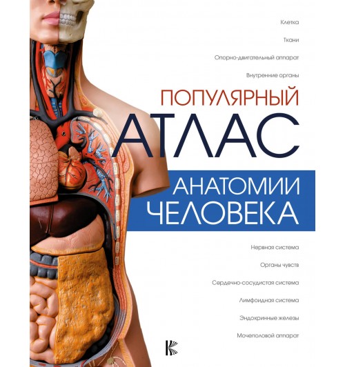 Палычева Любовь Николаевна: Популярный атлас анатомии человека