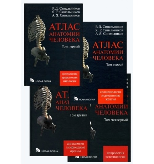 Синельников: Атлас анатомии человека. В 4-х томах. (AB)