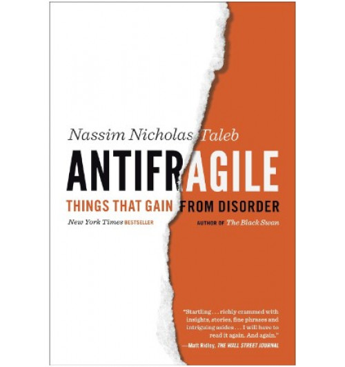 Nassim Nicholas Taleb: Antifragile