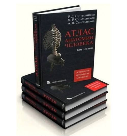 Синельников: Атлас анатомии человека. В 4-х томах. (Оригинальный)
