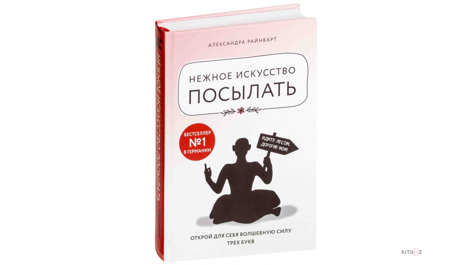 Отправь открыт. Александра Райнварт нежное искусство посылать. Книга нежное искусство посылать. Нежное искусство посылать. Открой для себя волшебную силу трех букв. Тонкое искусство посылать.